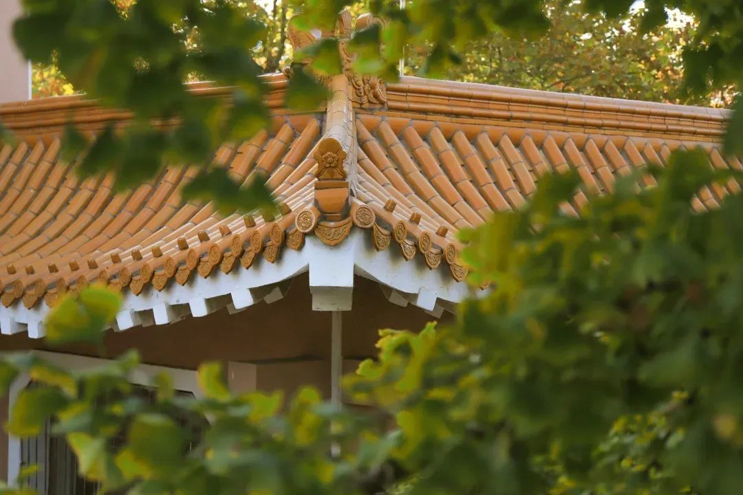 总裁班
