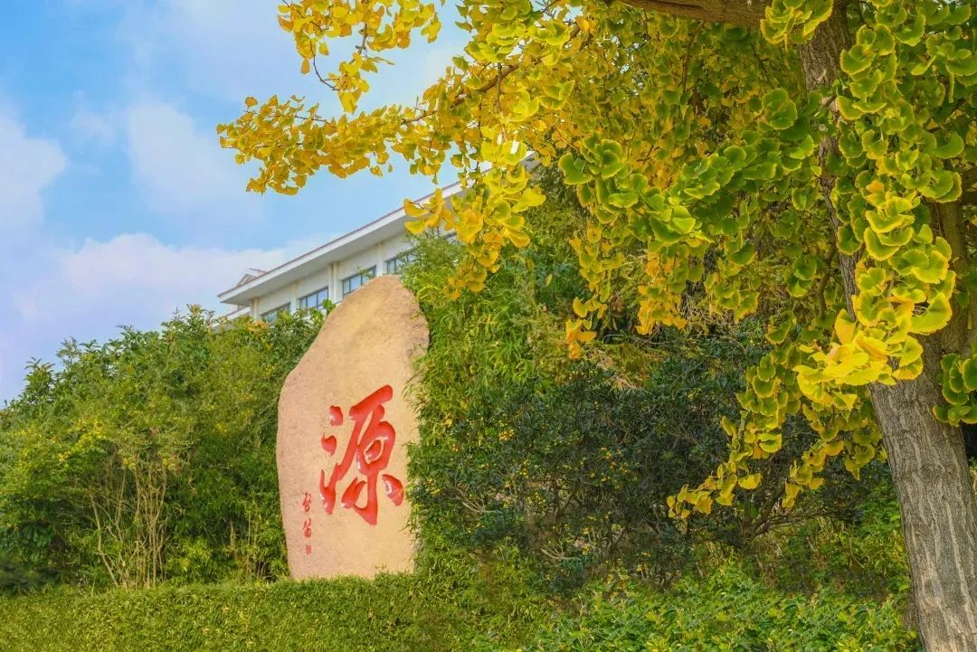 总裁班