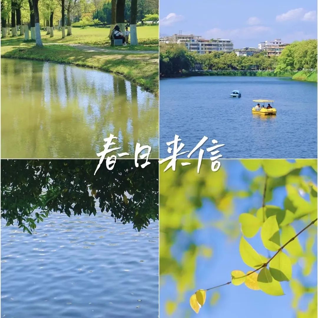 总裁班