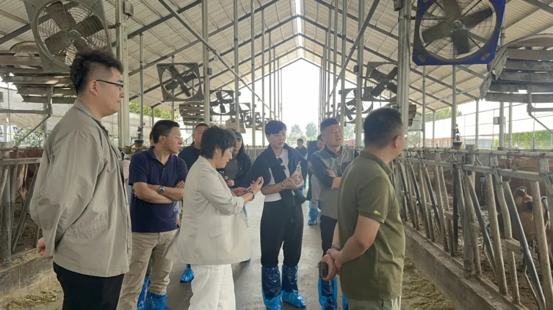 新商界跨班交流活动圆满举办